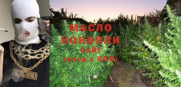 дмт Вяземский