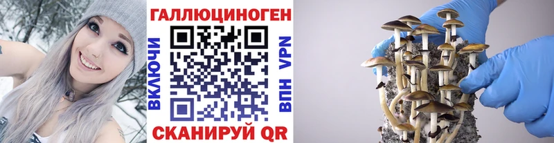 KRAKEN ССЫЛКА  Лебедянь  Галлюциногенные грибы GOLDEN TEACHER 